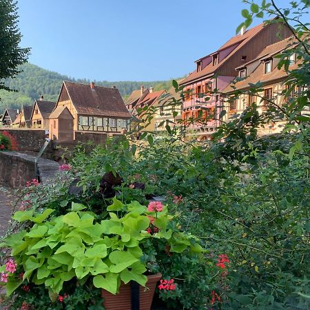 Studio Cosy Kaysersberg Centre Extérieur photo