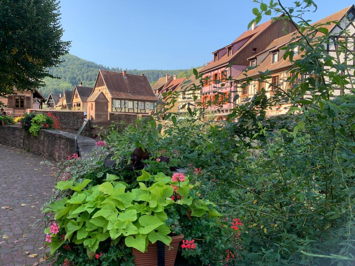 Studio Cosy Kaysersberg Centre Extérieur photo